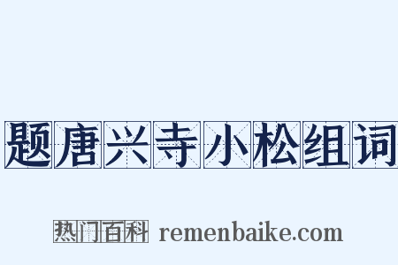 题唐兴寺小松组词是什么意思的图片